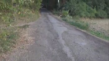 Free Hd Rough Sex