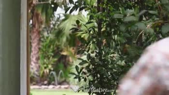 India Summer Friends And Family